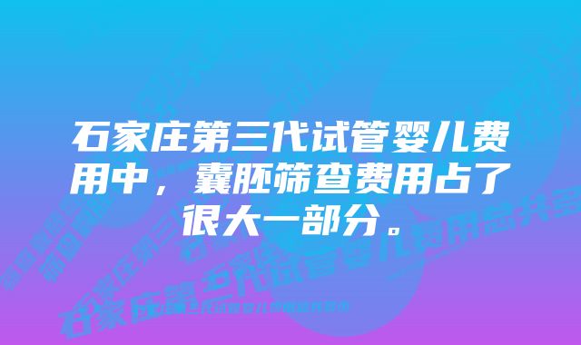 石家庄第三代试管婴儿费用中，囊胚筛查费用占了很大一部分。