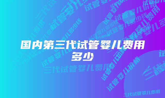 国内第三代试管婴儿费用多少