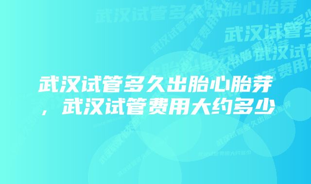 武汉试管多久出胎心胎芽，武汉试管费用大约多少