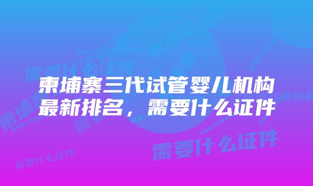 柬埔寨三代试管婴儿机构最新排名，需要什么证件