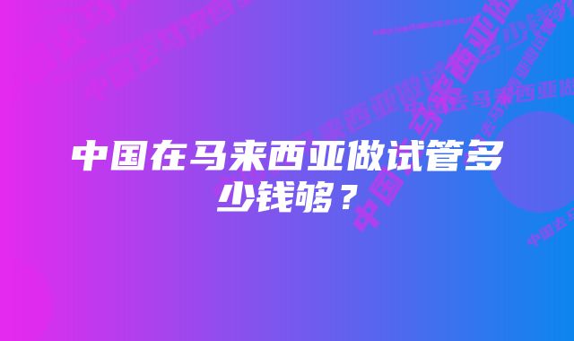 中国在马来西亚做试管多少钱够？