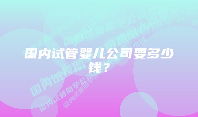 国内试管婴儿公司要多少钱？