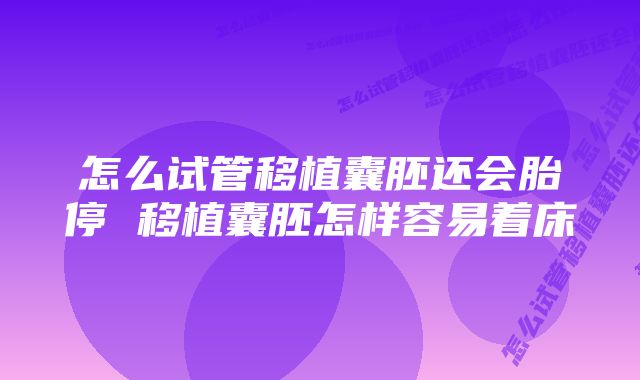 怎么试管移植囊胚还会胎停 移植囊胚怎样容易着床