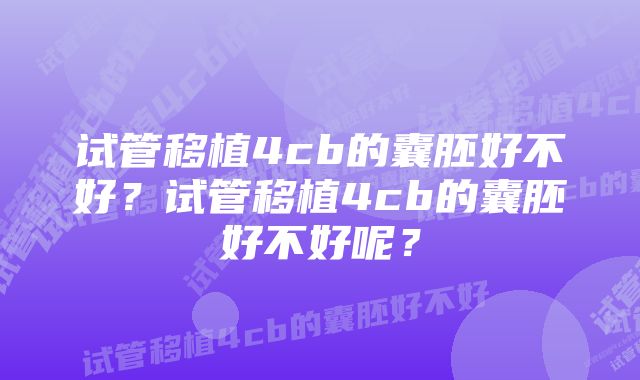 试管移植4cb的囊胚好不好？试管移植4cb的囊胚好不好呢？