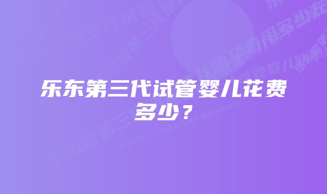 乐东第三代试管婴儿花费多少？