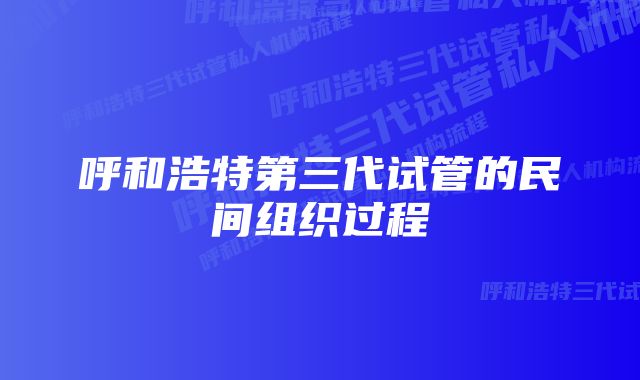 呼和浩特第三代试管的民间组织过程