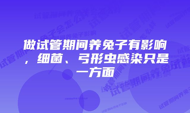 做试管期间养兔子有影响，细菌、弓形虫感染只是一方面