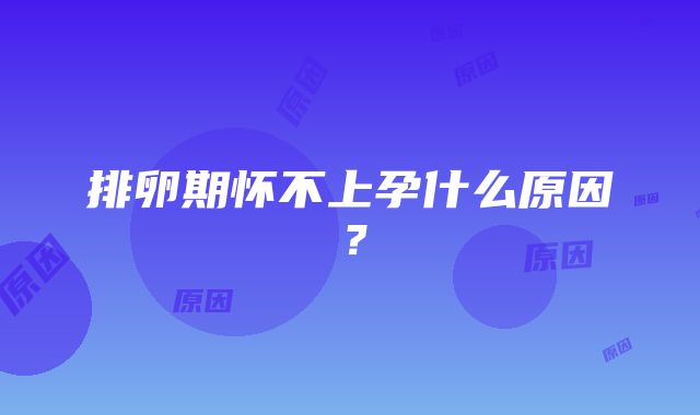 排卵期怀不上孕什么原因？