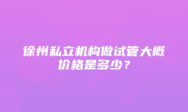 徐州私立机构做试管大概价格是多少？