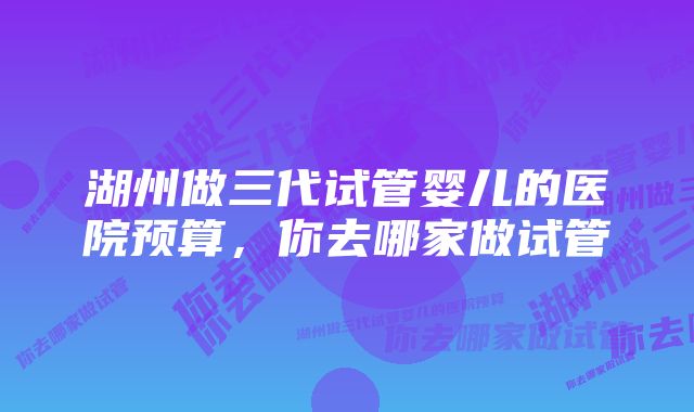 湖州做三代试管婴儿的医院预算，你去哪家做试管