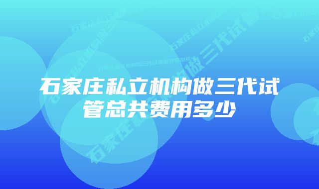 石家庄私立机构做三代试管总共费用多少