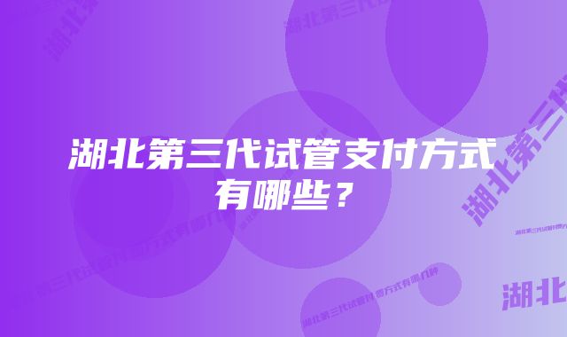 湖北第三代试管支付方式有哪些？