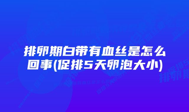 排卵期白带有血丝是怎么回事(促排5天卵泡大小)