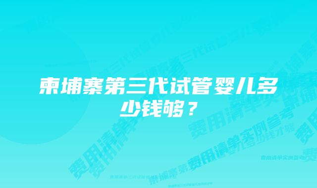 柬埔寨第三代试管婴儿多少钱够？