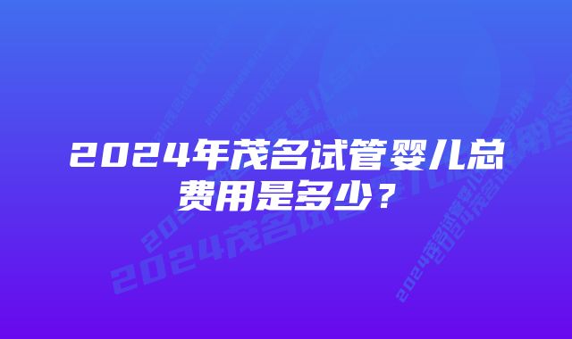 2024年茂名试管婴儿总费用是多少？