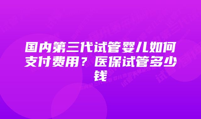 国内第三代试管婴儿如何支付费用？医保试管多少钱