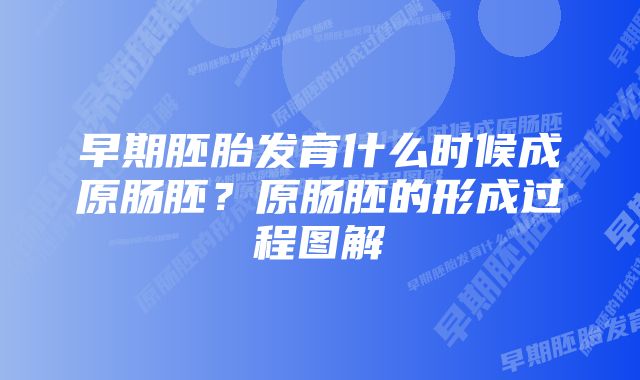 早期胚胎发育什么时候成原肠胚？原肠胚的形成过程图解