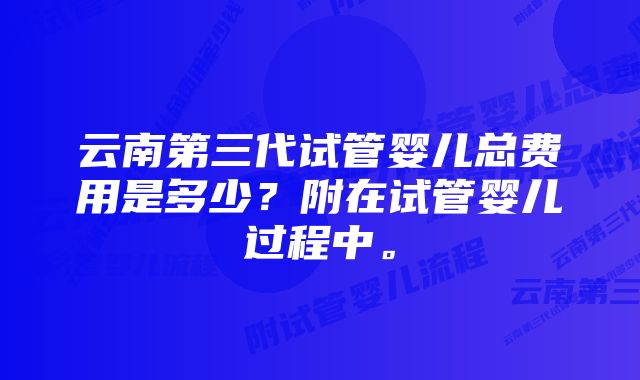 云南第三代试管婴儿总费用是多少？附在试管婴儿过程中。