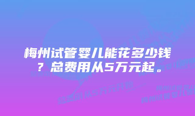 梅州试管婴儿能花多少钱？总费用从5万元起。