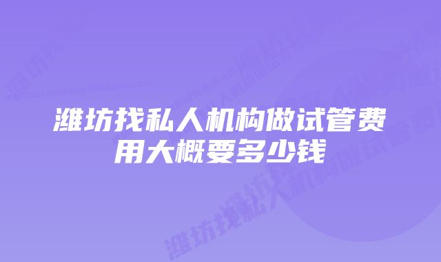 潍坊找私人机构做试管费用大概要多少钱