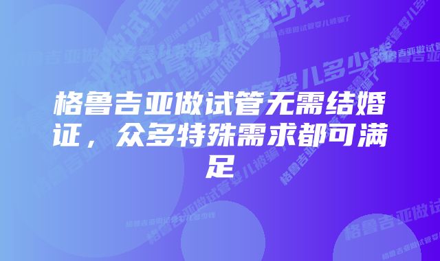 格鲁吉亚做试管无需结婚证，众多特殊需求都可满足