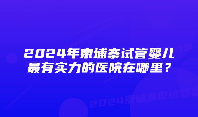 2024年柬埔寨试管婴儿最有实力的医院在哪里？