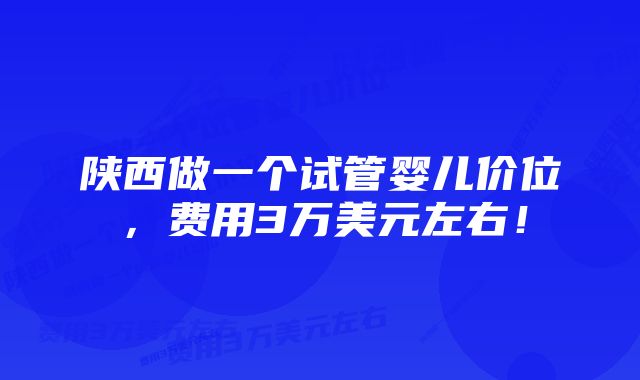 陕西做一个试管婴儿价位，费用3万美元左右！