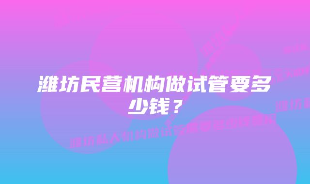 潍坊民营机构做试管要多少钱？