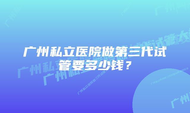 广州私立医院做第三代试管要多少钱？