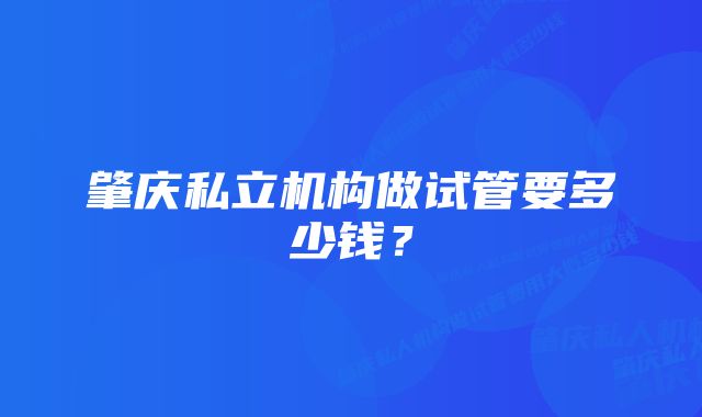 肇庆私立机构做试管要多少钱？