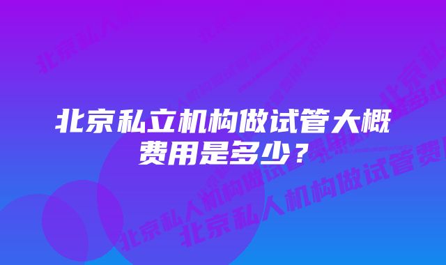 北京私立机构做试管大概费用是多少？