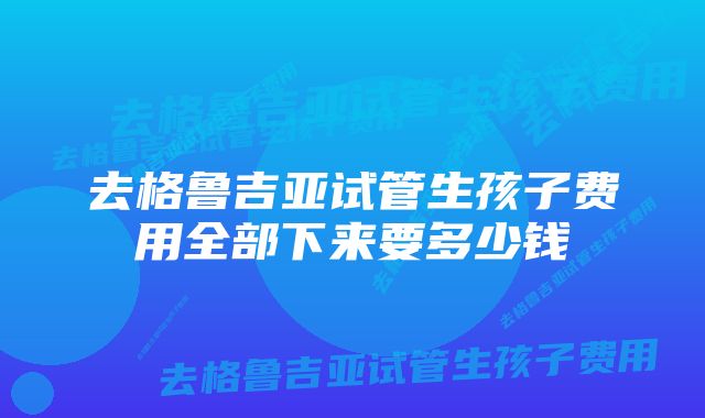 去格鲁吉亚试管生孩子费用全部下来要多少钱