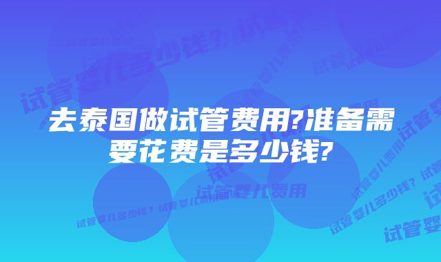 去泰国做试管费用?准备需要花费是多少钱?