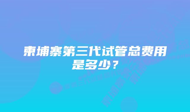 柬埔寨第三代试管总费用是多少？