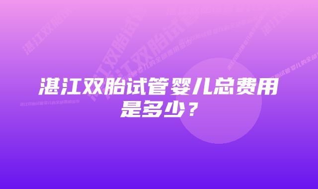 湛江双胎试管婴儿总费用是多少？