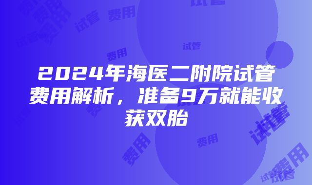 2024年海医二附院试管费用解析，准备9万就能收获双胎