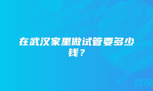 在武汉家里做试管要多少钱？