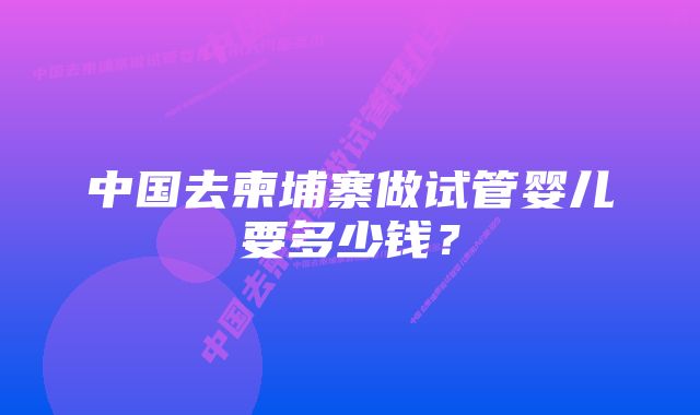 中国去柬埔寨做试管婴儿要多少钱？