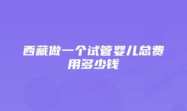 西藏做一个试管婴儿总费用多少钱