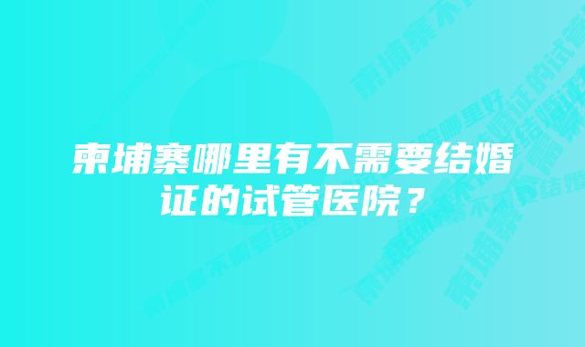 柬埔寨哪里有不需要结婚证的试管医院？