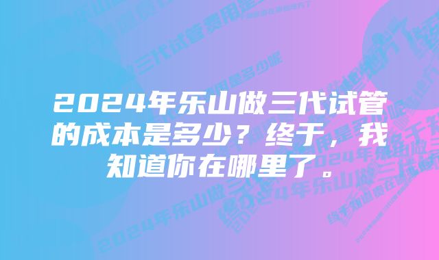 2024年乐山做三代试管的成本是多少？终于，我知道你在哪里了。