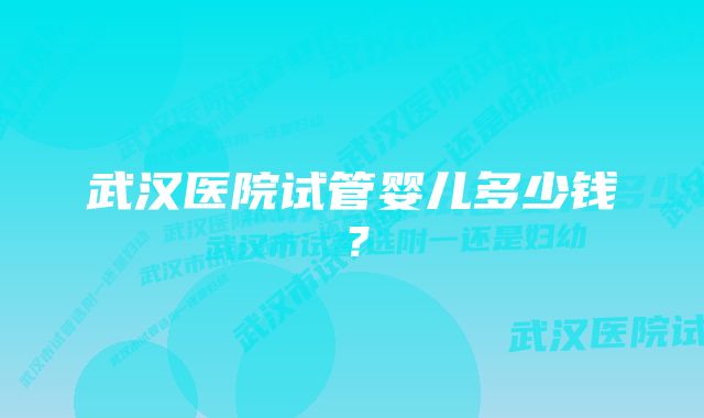 武汉医院试管婴儿多少钱？