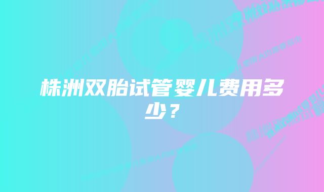 株洲双胎试管婴儿费用多少？