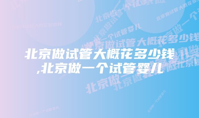 北京做试管大概花多少钱,北京做一个试管婴儿