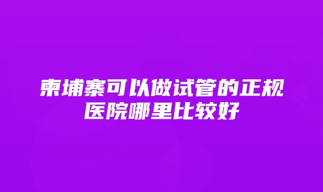 柬埔寨可以做试管的正规医院哪里比较好