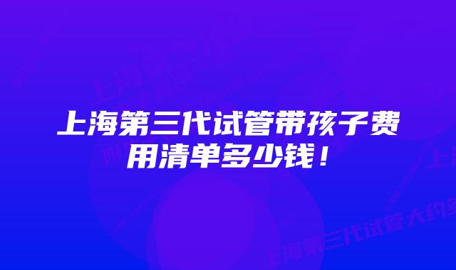 上海第三代试管带孩子费用清单多少钱！