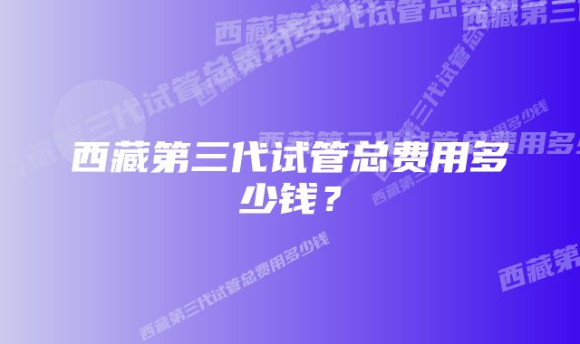 西藏第三代试管总费用多少钱？