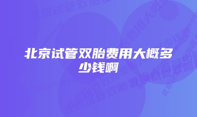 北京试管双胎费用大概多少钱啊