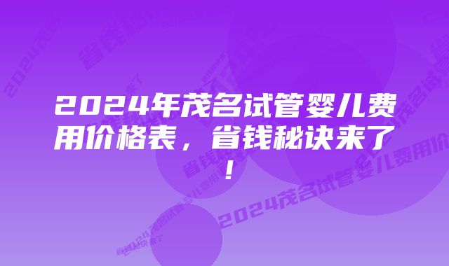 2024年茂名试管婴儿费用价格表，省钱秘诀来了！