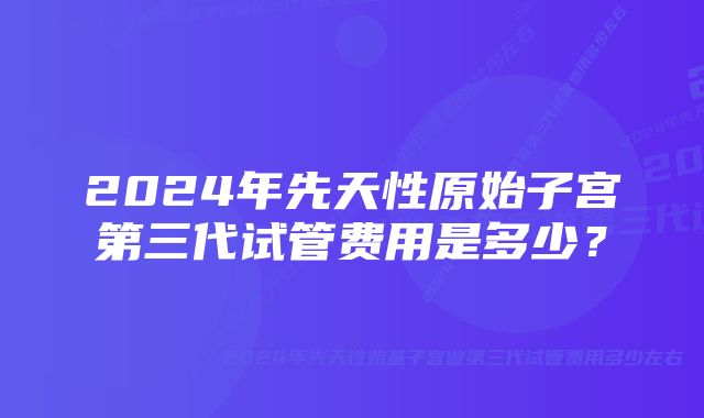 2024年先天性原始子宫第三代试管费用是多少？